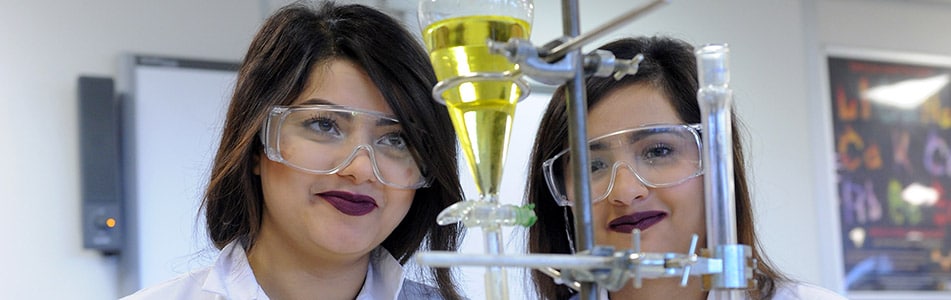 Students study coloured liquid
